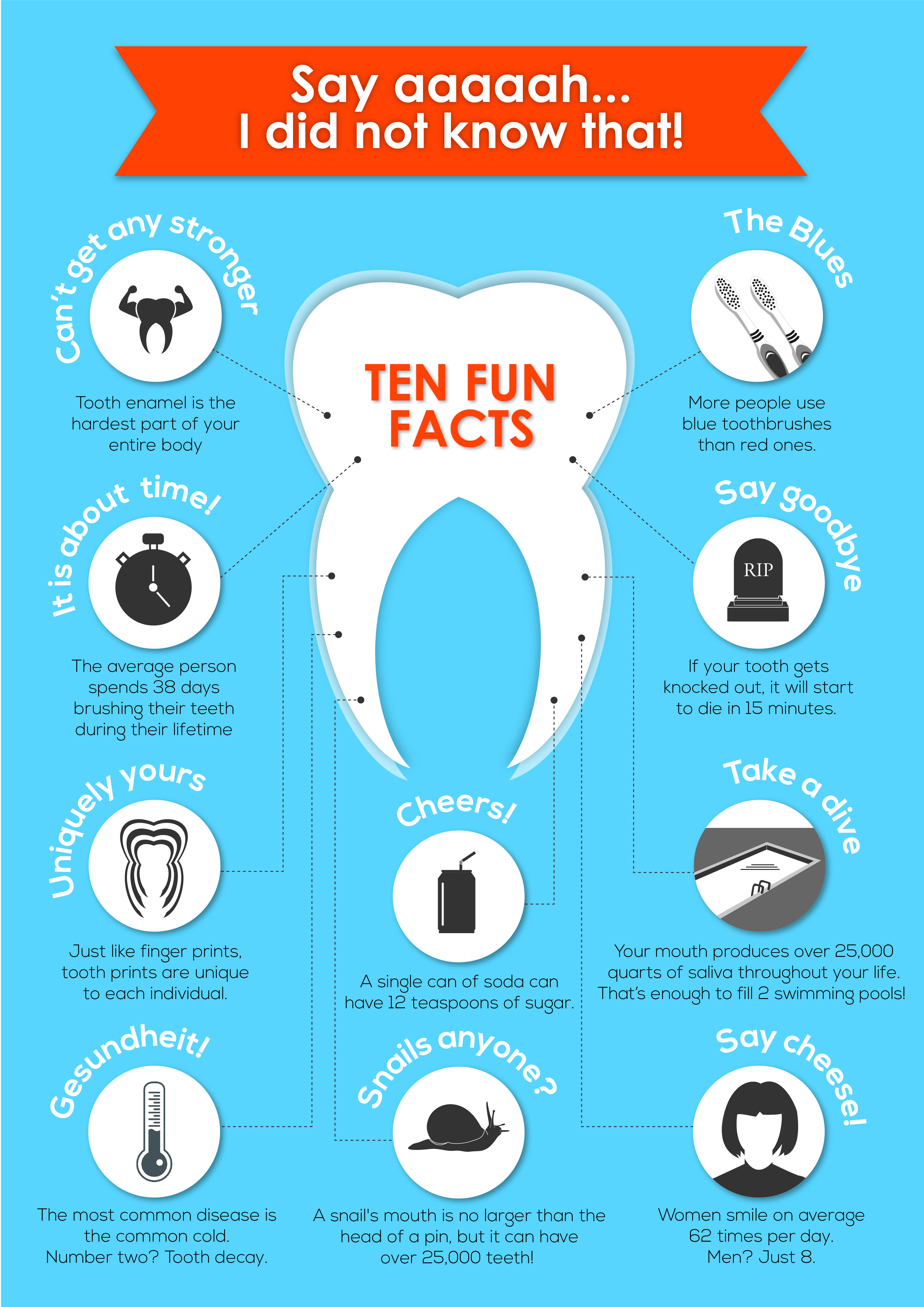 10 Facts About Your Teet