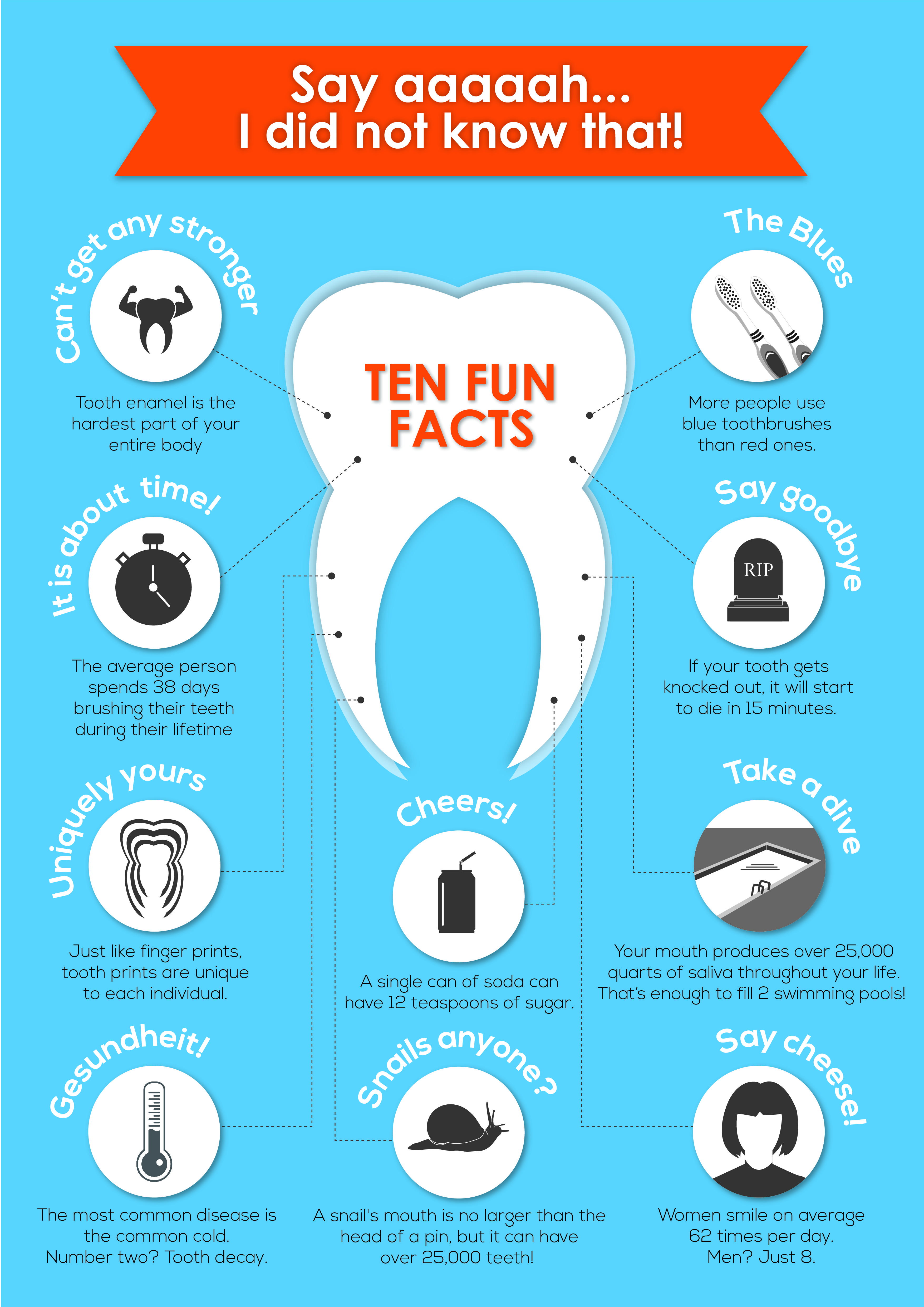 10 Fun Facts About Your Teeth Infographic Encore Dental